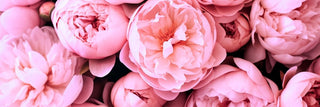 Inspired By Peony & Blush Suede By Jo Malone - The Maisie Collection