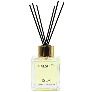 Inspired by Be Delicious by DKNY - Isla Reed Diffuser